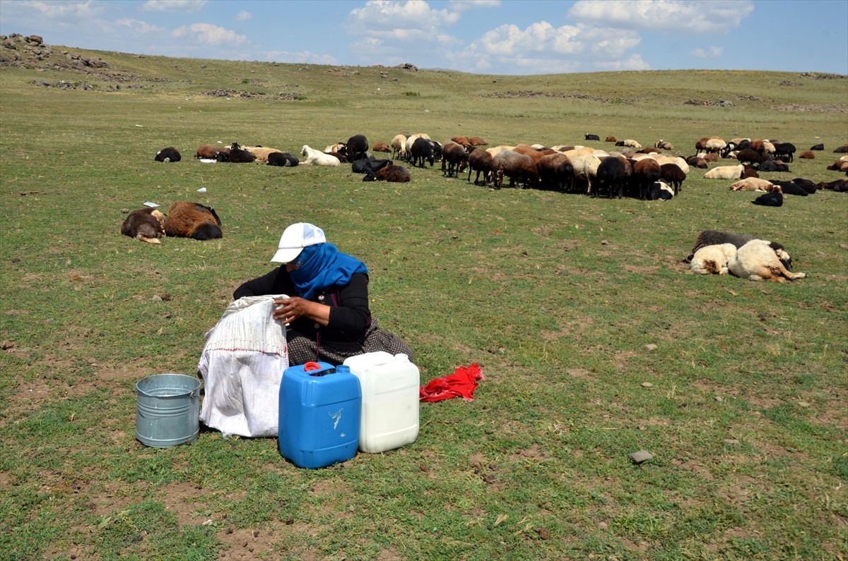 Muş'un Varto ilçesinde berivanlar (süt sağan kadın), sıcak havaya rağmen her gün atlarla yaklaşık...