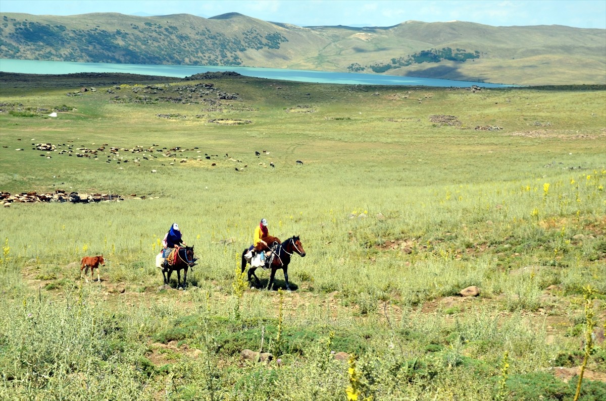 Muş'un Varto ilçesinde berivanlar (süt sağan kadın), sıcak havaya rağmen her gün atlarla yaklaşık...