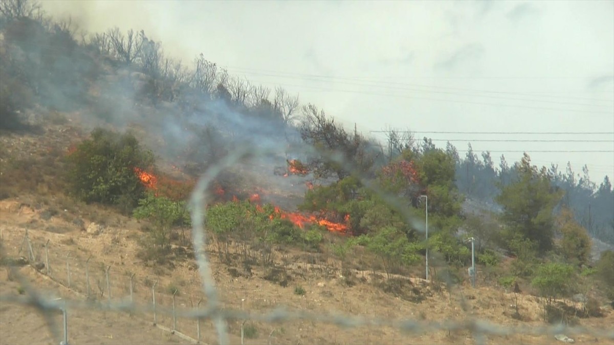 Sakarya'nın Pamukova ilçesinde askeri kışladaki otlukta çıktıktan sonra ağaçlık alana sıçrayan...
