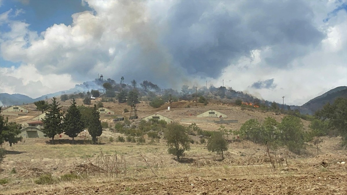 Sakarya'nın Pamukova ilçesinde askeri kışladaki otlukta çıktıktan sonra ağaçlık alana sıçrayan...