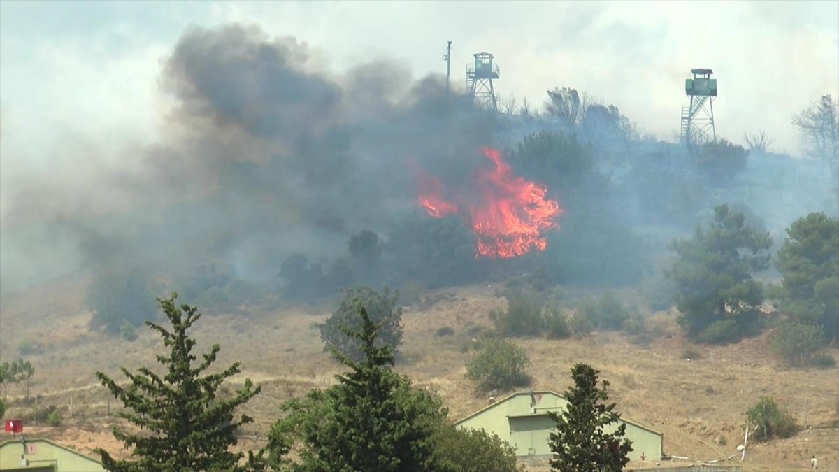 Sakarya'nın Pamukova ilçesinde askeri kışladaki otlukta çıktıktan sonra ağaçlık alana sıçrayan...