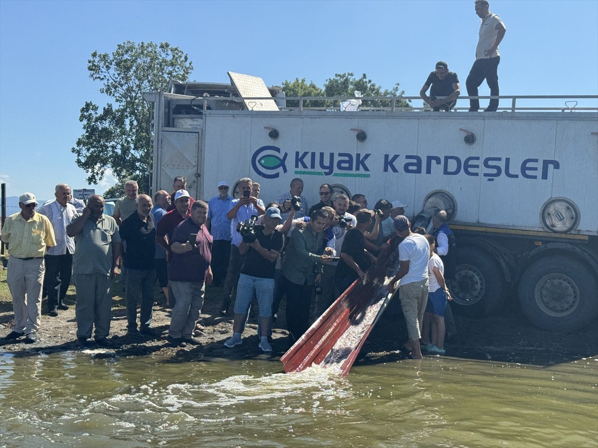 Samsun Tarım ve Orman Müdürlüğü, İç Su Kaynaklarının Balıklandırılması Projesi kapsamında göl ve...