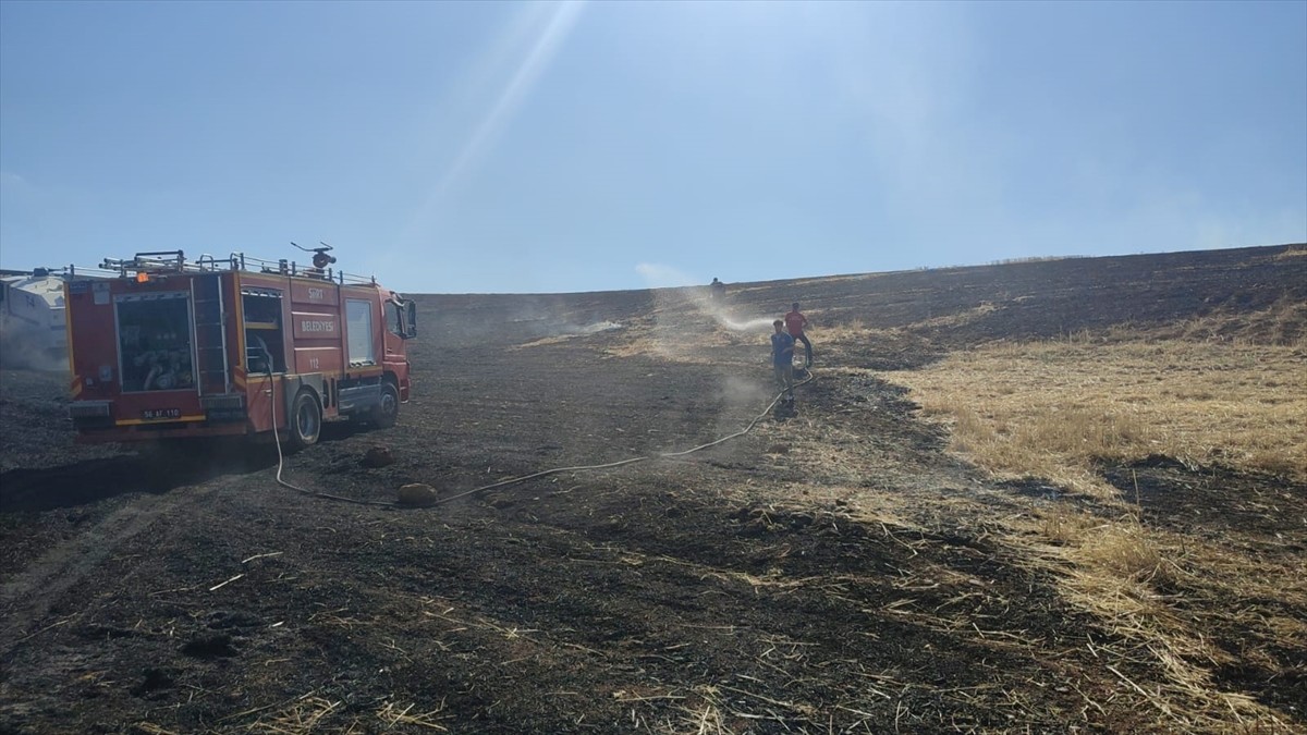 Siirt'te çıkan arazi yangını ekipler tarafından söndürüldü.