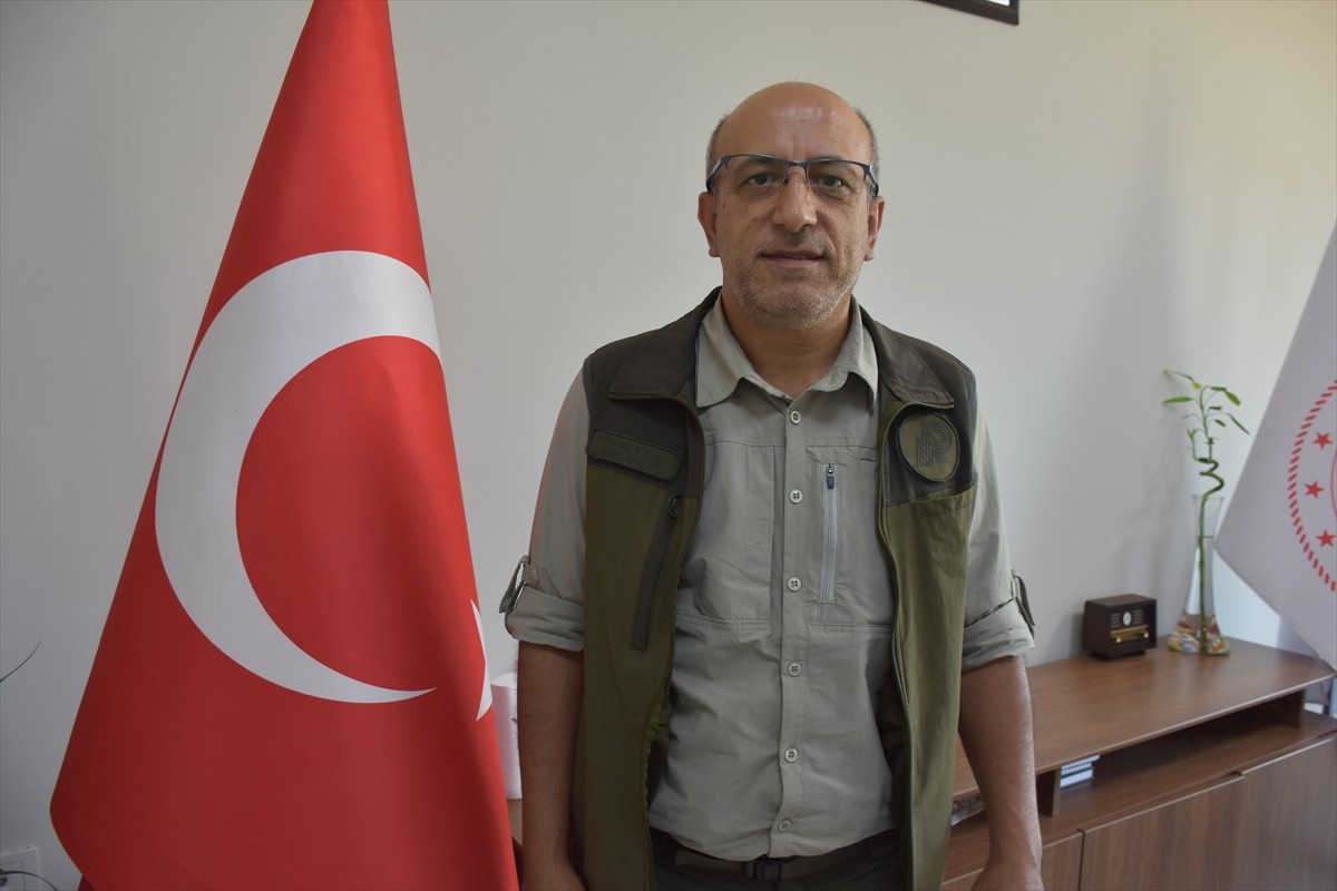 Şırnak'ın Silopi ilçesinde yaralı bulunan gece balıkçılı kuşu, Şırnak Yaban Hayvanları Tedavi ve...