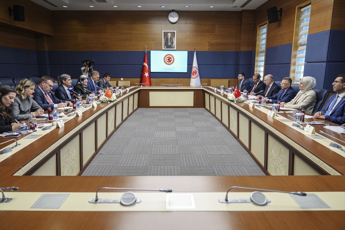 TBMM Dışişleri Komisyonu Başkanı ve AK Parti Ankara Milletvekili Fuat Oktay (solda), Karadağ...