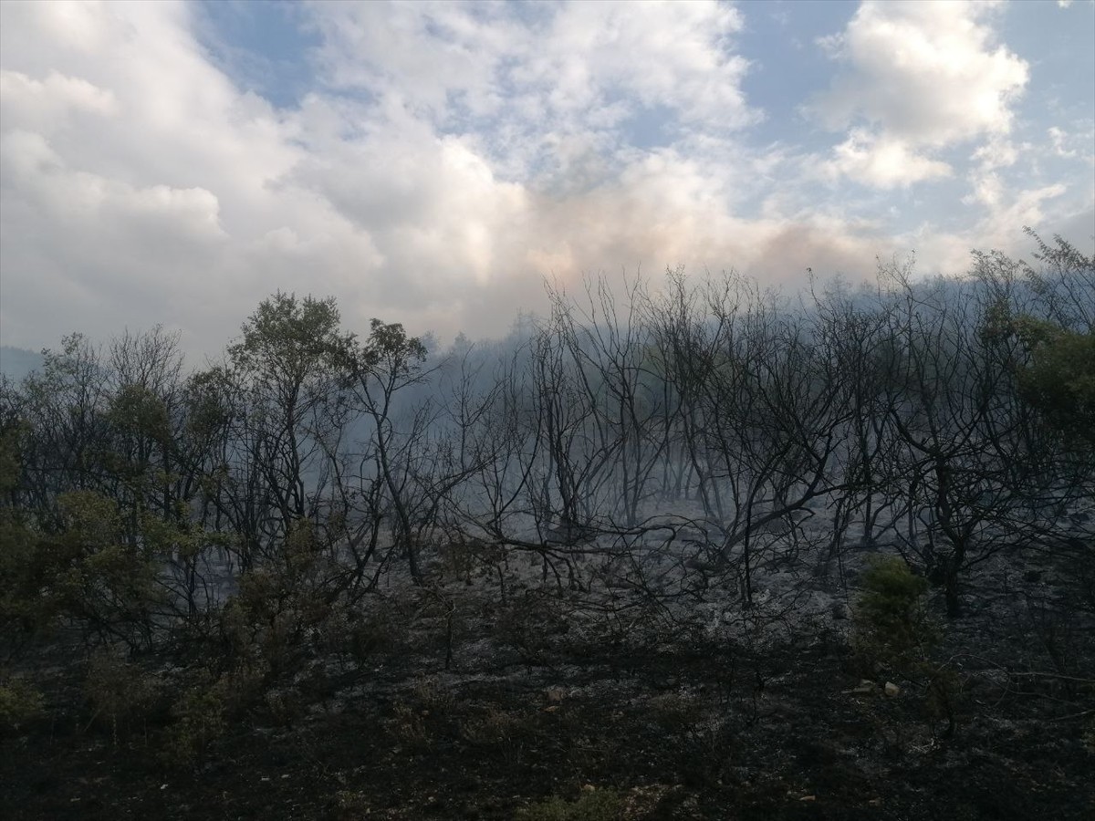 Tokat'ın Erbaa ilçesinde ormanlık alanda çıkan yangının Orman Bölge Müdürlüğü ve itfaiye...