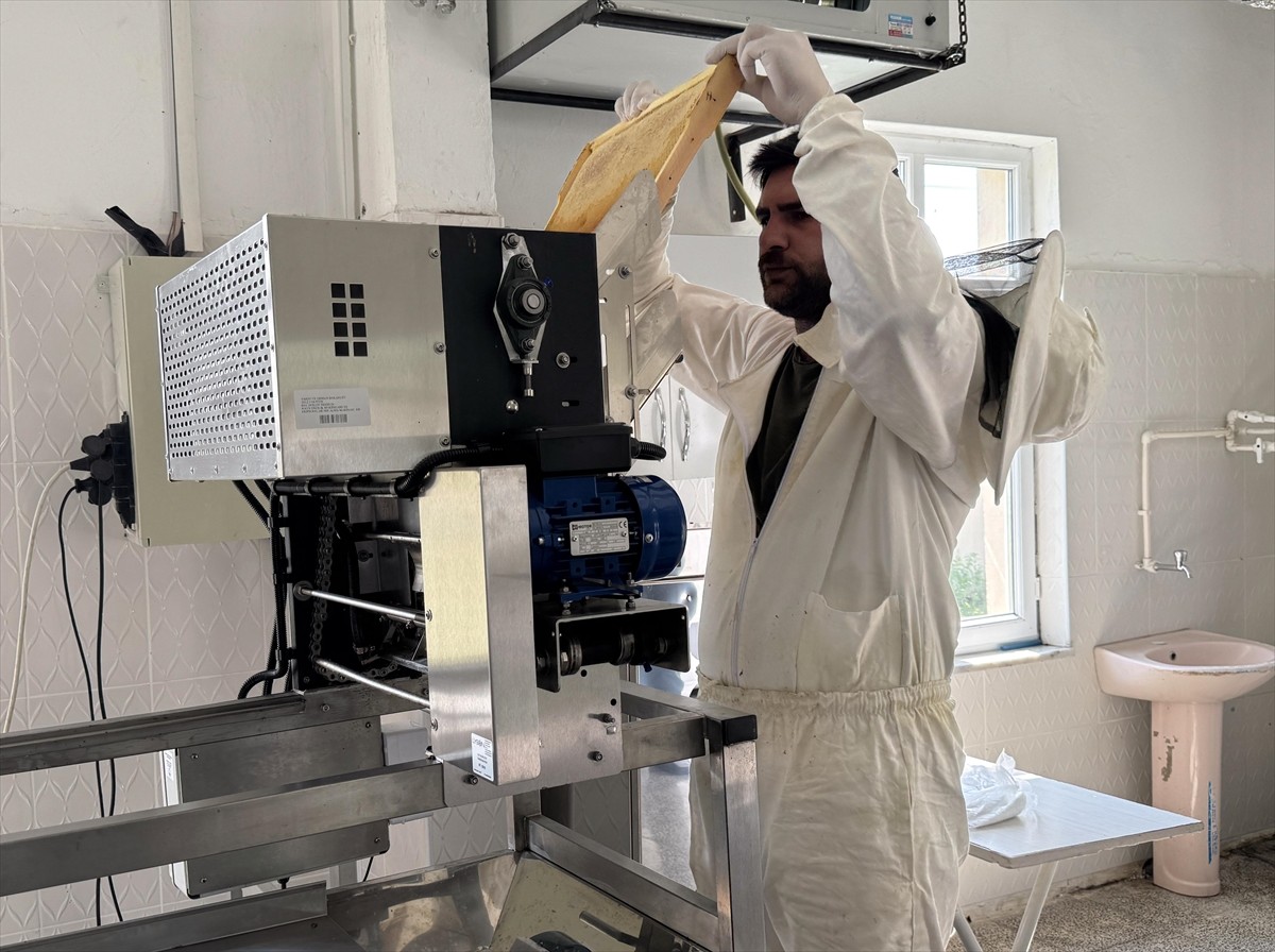 Türk Patent ve Marka Kurumunca coğrafi işaretle tescillenen "Ardahan çiçek balı"nın Kafkas Arısı...