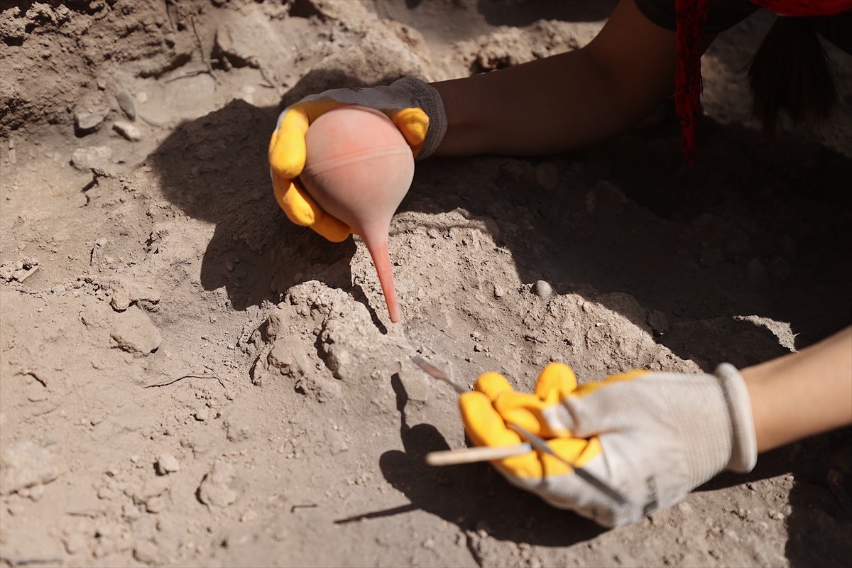 Anadolu'nun en eski yerleşim yerlerinden Mersin'deki Yumuktepe Höyüğü'nde yürütülen arkeobotanik...