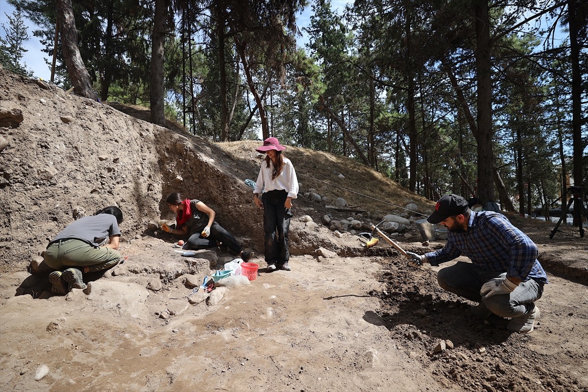 Anadolu'nun en eski yerleşim yerlerinden Mersin'deki Yumuktepe Höyüğü'nde yürütülen arkeobotanik...