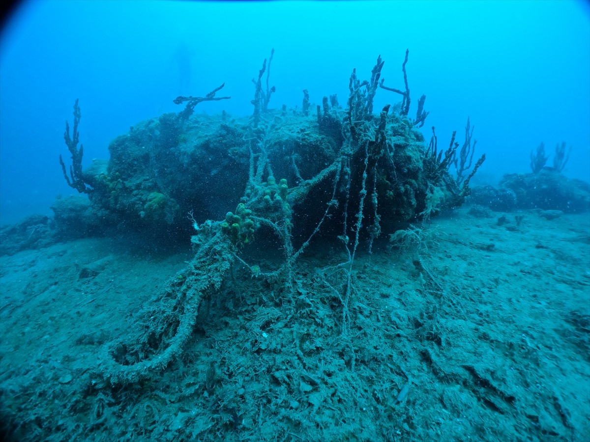 Balıkesir Büyükşehir Belediyesi ile Çanakkale Onsekiz Mart Üniversitesi (ÇOMÜ) işbirliğinde...