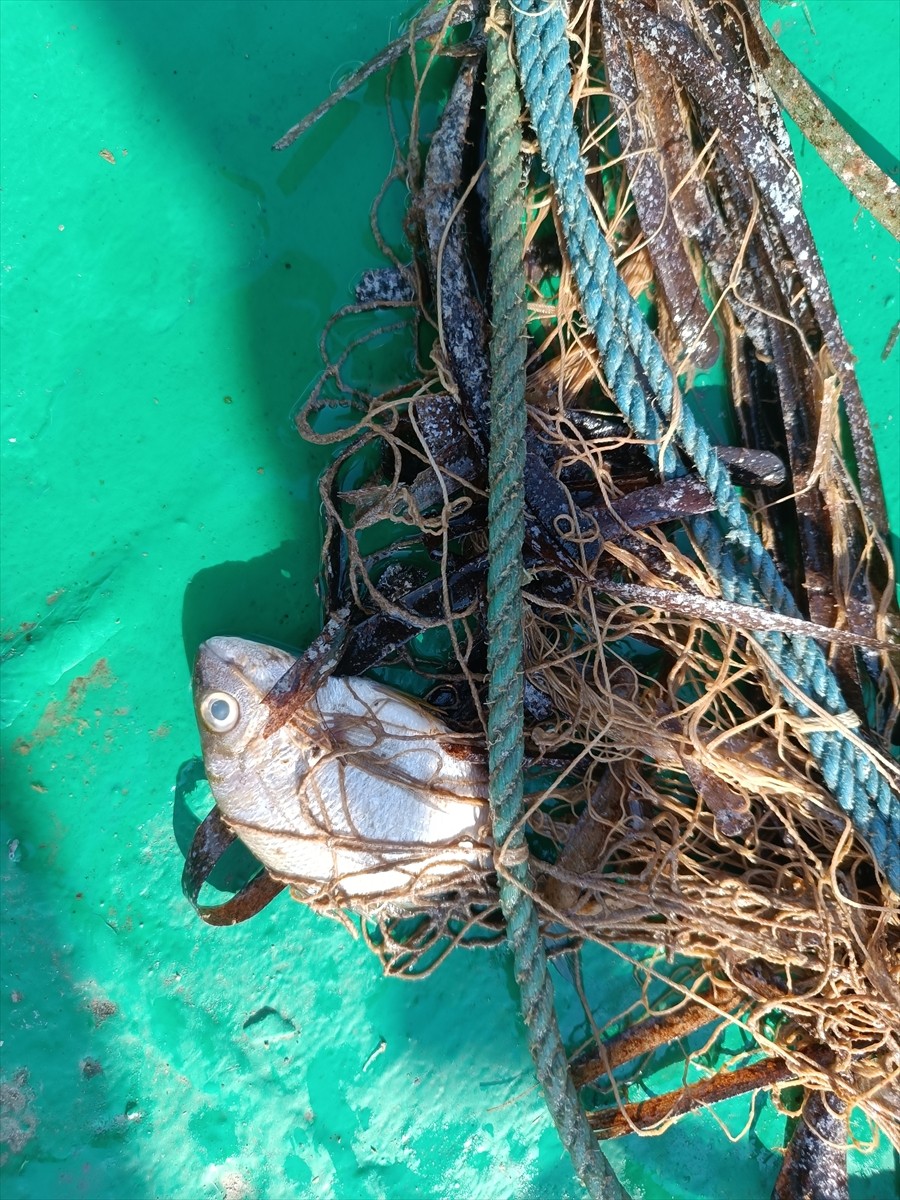 Balıkesir Büyükşehir Belediyesi ile Çanakkale Onsekiz Mart Üniversitesi (ÇOMÜ) işbirliğinde...