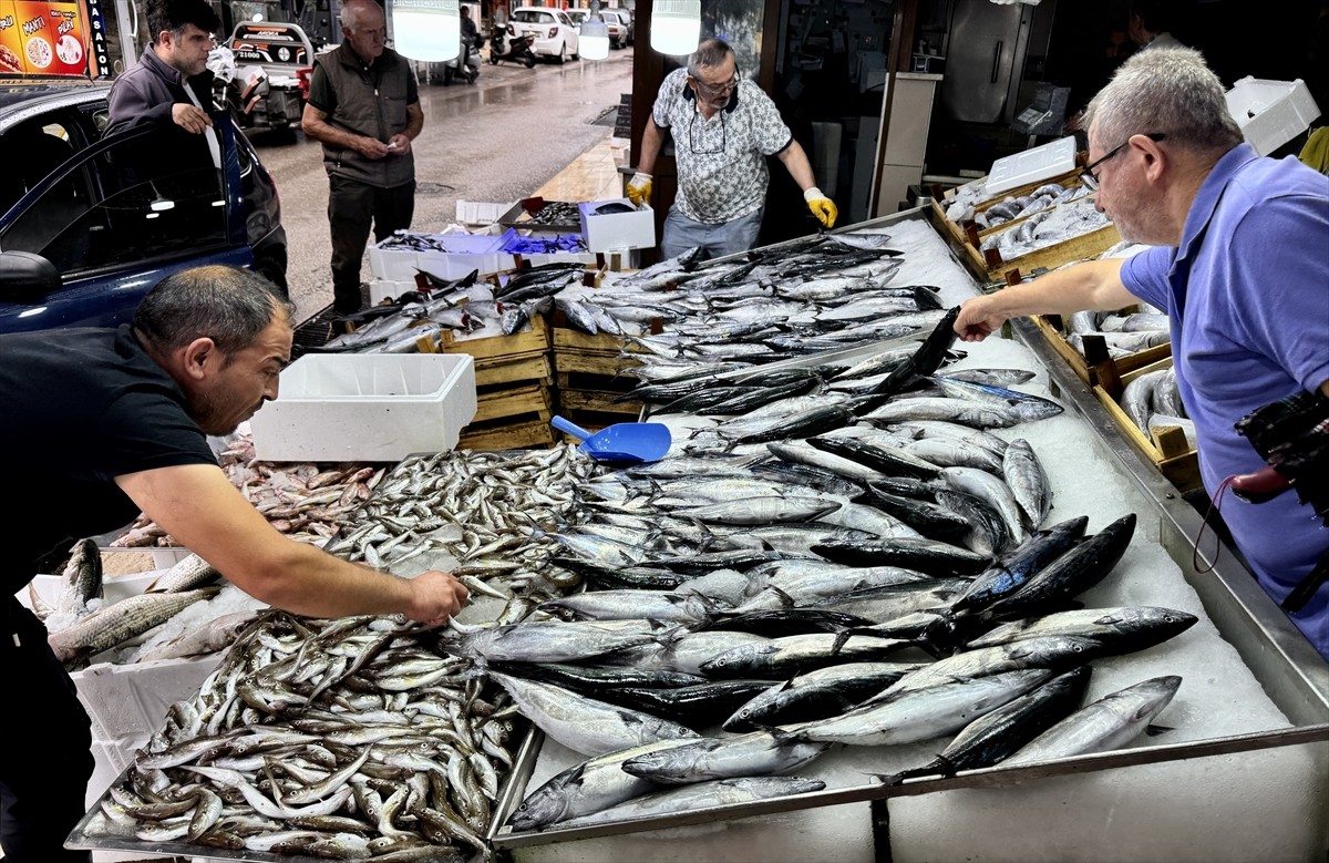 Türkiye'nin önemli balıkçılık kentleri arasında yer alan Sinop'ta tezgahlarda balık bolluğu...