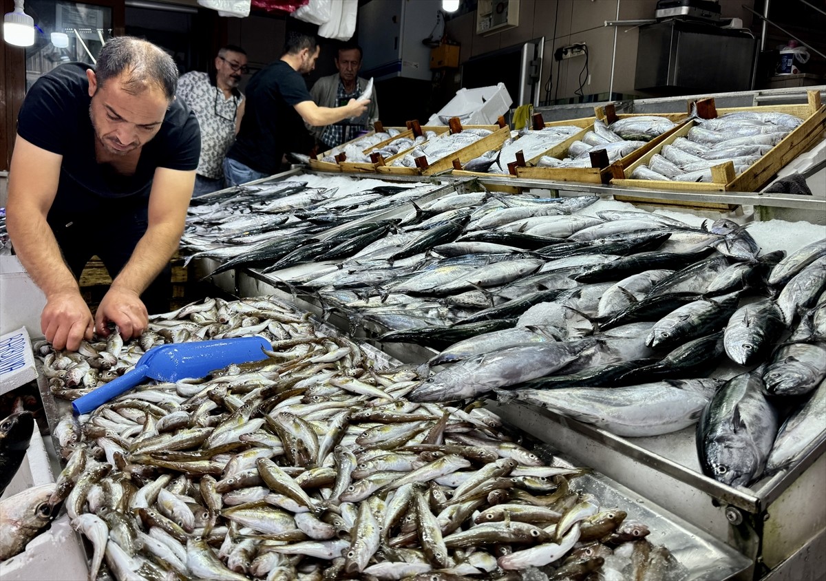 Türkiye'nin önemli balıkçılık kentleri arasında yer alan Sinop'ta tezgahlarda balık bolluğu...