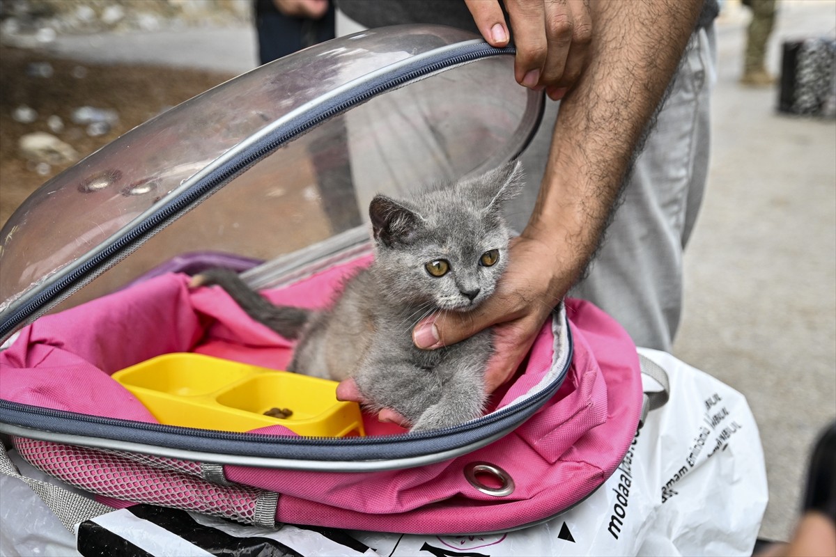 İsrail'in saldırılarının sürdüğü Lübnan’dan çoğunluğu Türk vatandaşı olan sivilleri tahliye eden...