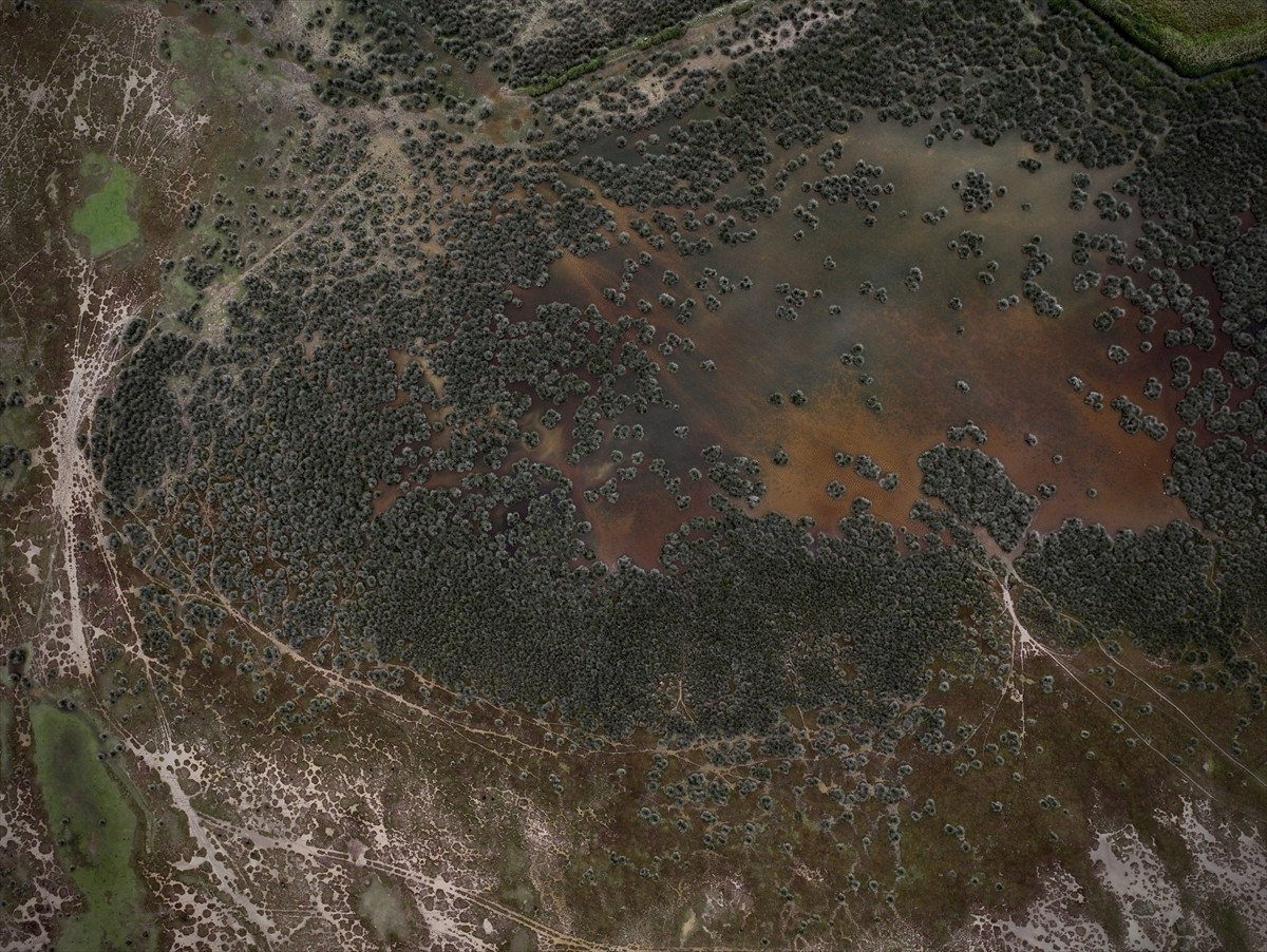 UNESCO Geçici Miras Listesi'nde yer alan ve 10 gölden oluşan Kızılırmak Deltası Kuş Cenneti, yazın...