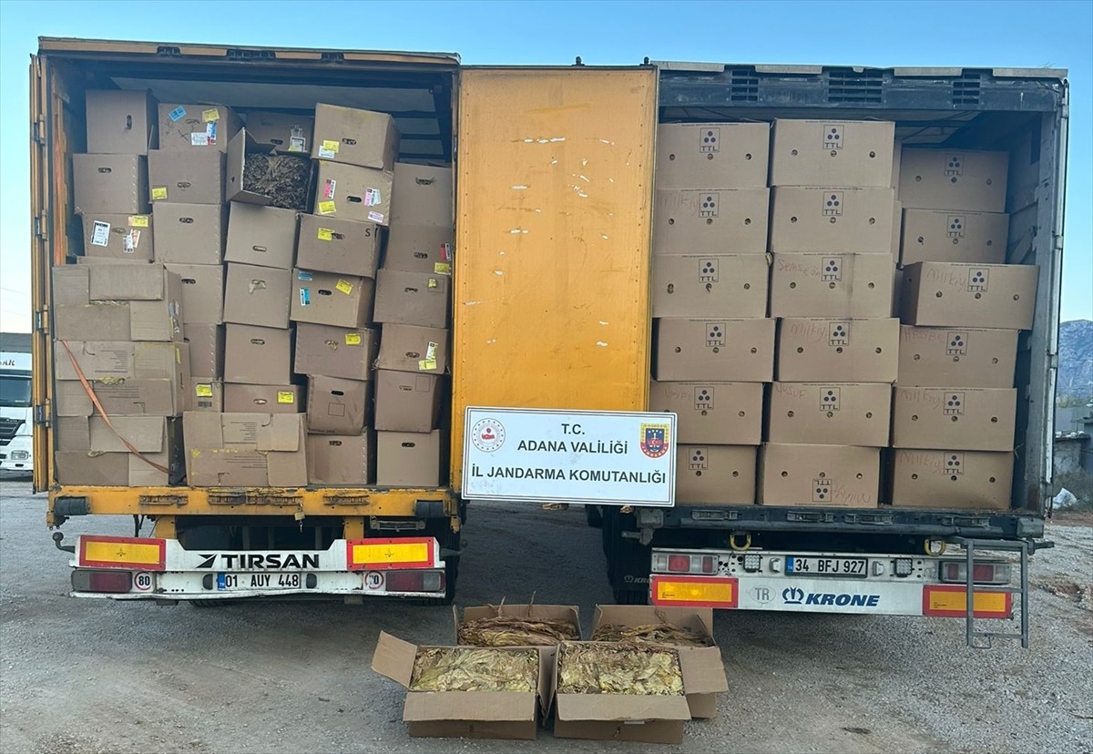 Adana'da 23 ton kaçak tütünün ele geçirildiği iki tırın sürücüsü gözaltına alındı