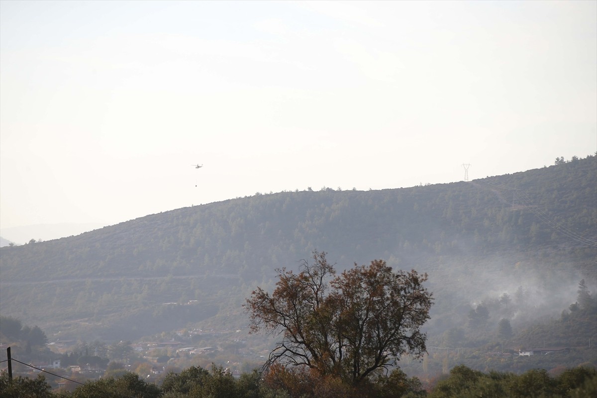Muğla'nın Menteşe ilçesinde ormanlık ve zeytinlik alanda çıkan yangın, havadan ve karadan...
