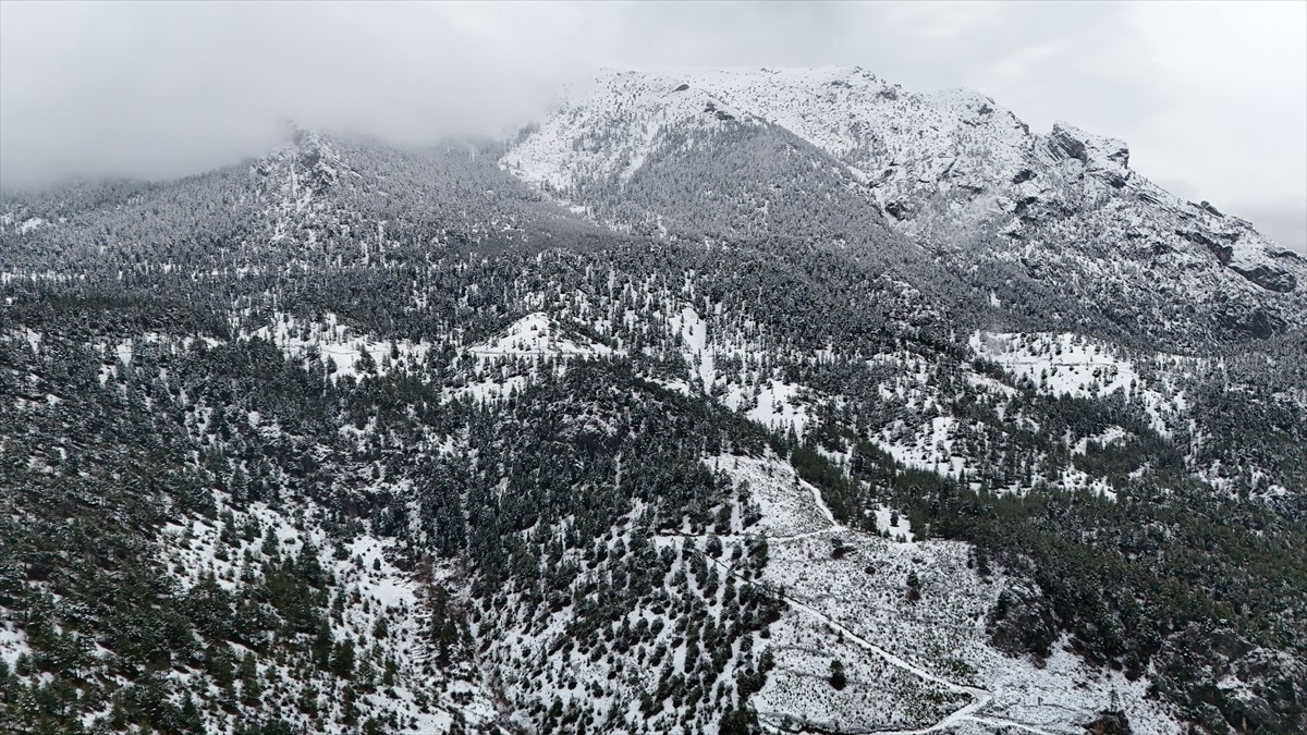 Adana'nın Pozantı ilçesinde kar yağışı etkili oldu. Kar yağışının ardından ilçedeki bazı ormanlık...