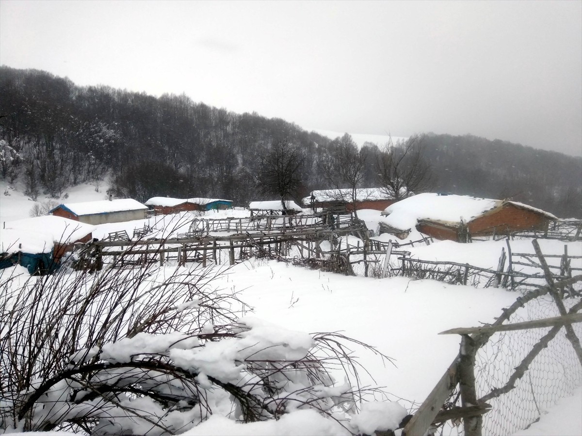 Amasya'nın yüksek kesimlerinde kar yağışı etkili oldu. Dereli, Belevi ve Tekke yaylalarında öğle...