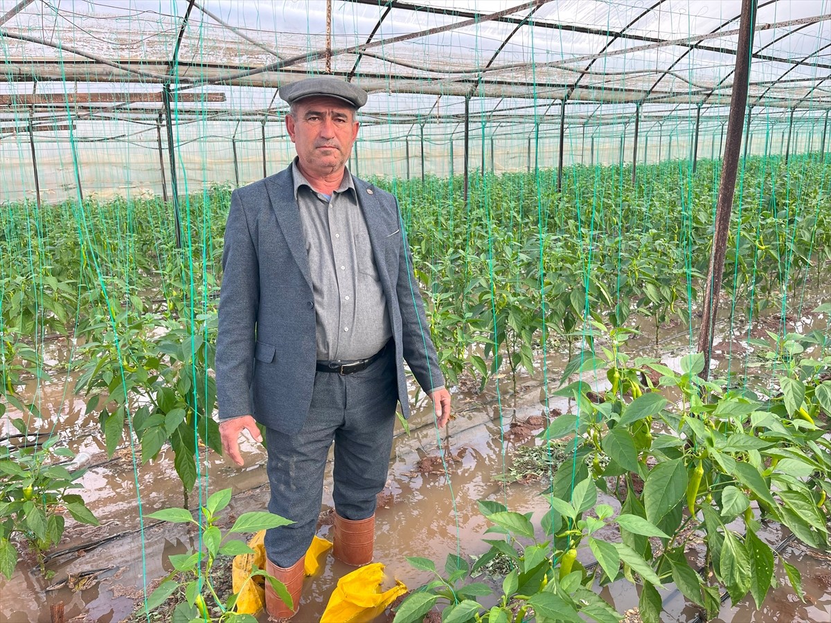 Antalya'nın Kumluca ilçesinde gece boyunca etkili olan sağanak yağış sonrası bazı ev ve seraları...