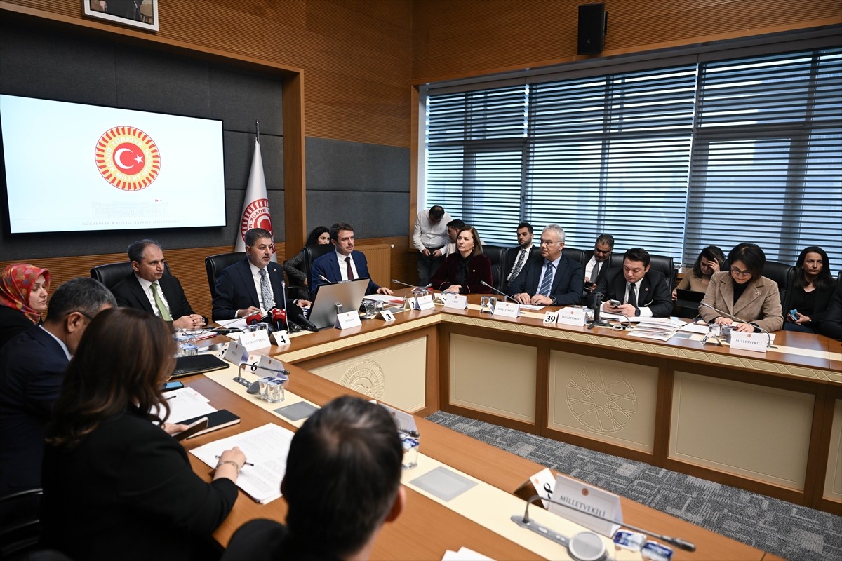 Bazı Özel Sağlık Kuruluşlarında Yaşanan Bebek Ölümlerinin Tüm Yönleriyle Araştırılması, Özel...