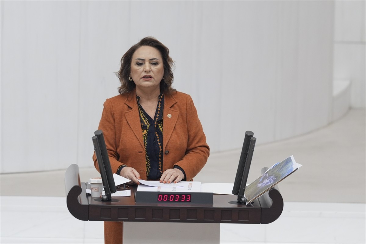 CHP milletvekilleri, Genel Kurulda, Enerji ve Tabii Kaynaklar, Ulaştırma ve Altyapı ile Sağlık...