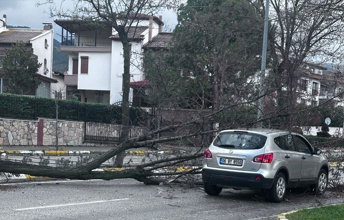 Denizli'nin Merkezefendi ilçesinde fırtına hayatı olumsuz etkiledi. Fırtınada devrilen ağaç...