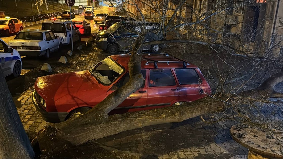 Edirne'de üzerine ağaç devrilen otomobilde maddi hasar oluştu. Devrilen ağaç, itfaiye ekiplerinin...
