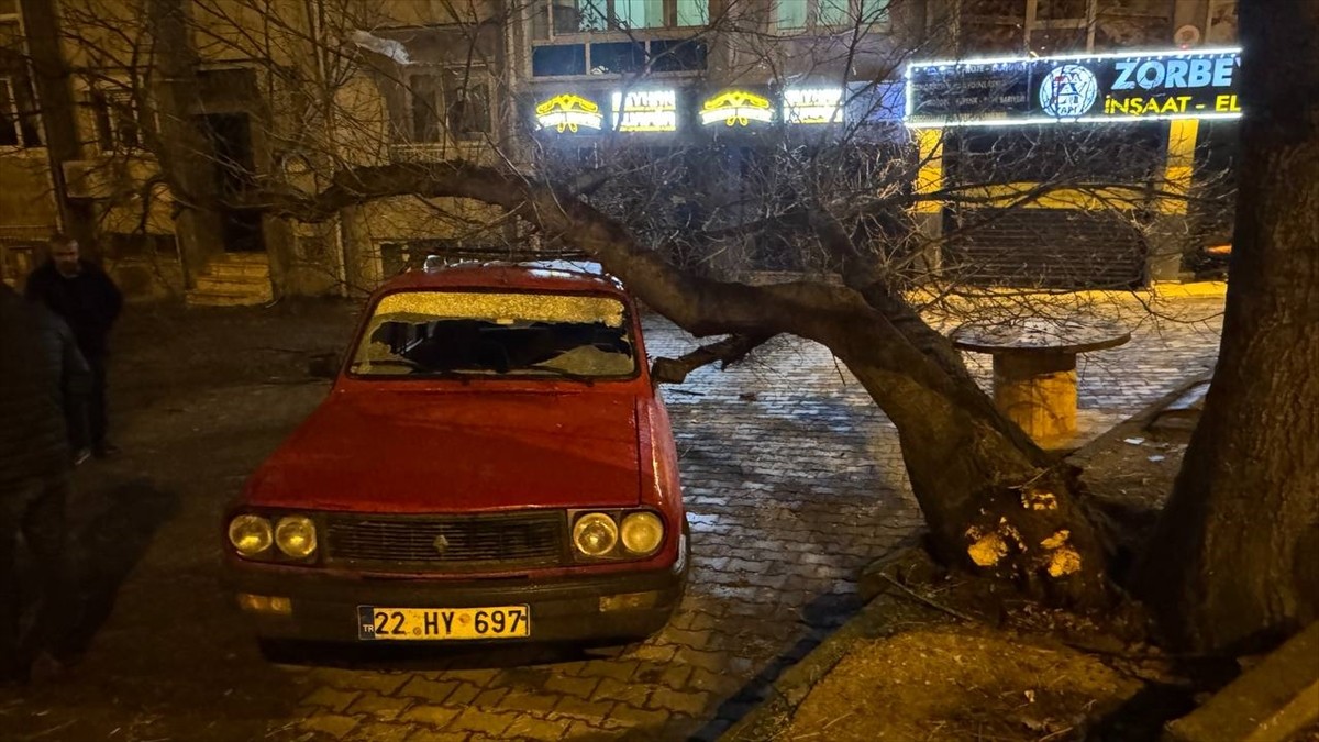 Edirne'de üzerine ağaç devrilen otomobilde maddi hasar oluştu. Devrilen ağaç, itfaiye ekiplerinin...