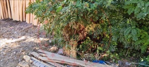 En doğudan en batıya dev Milli Emlak fırsatı! 46.000 TL’ye tapunuz olacak  