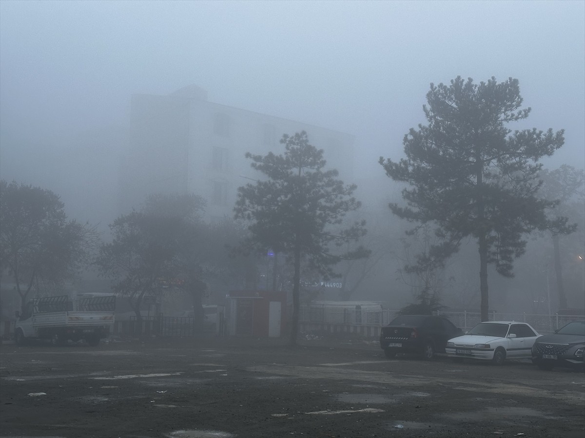 Iğdır'da etkili olan yoğun sis, hayatı olumsuz etkiledi. Kentte sabah saatlerinden itibaren etkili...