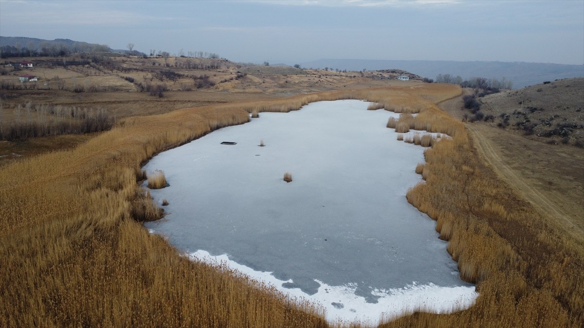 Iğdır'da soğuk hava nedeniyle birçok akarsu, dere ve gölün yüzeyi buz tuttu. Doğa tutkunlarının...