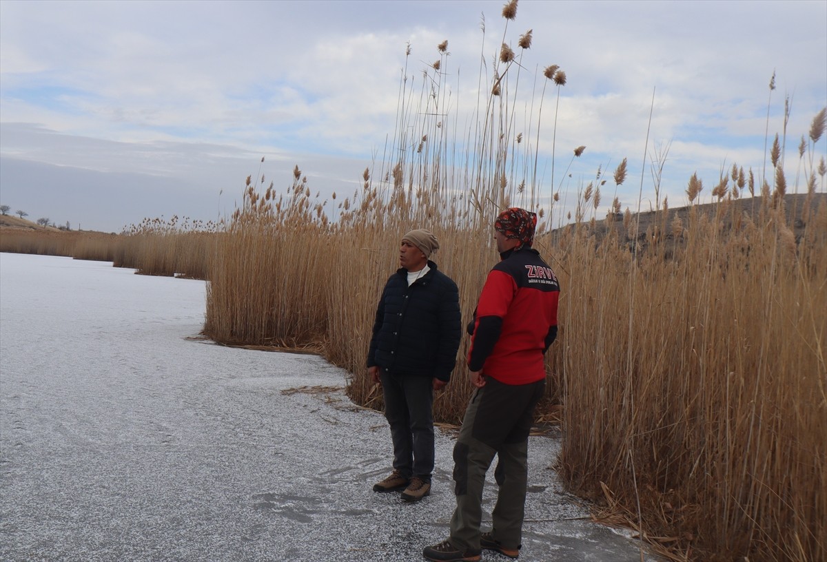 Iğdır'da soğuk hava nedeniyle birçok akarsu, dere ve gölün yüzeyi buz tuttu. Doğa tutkunlarının...
