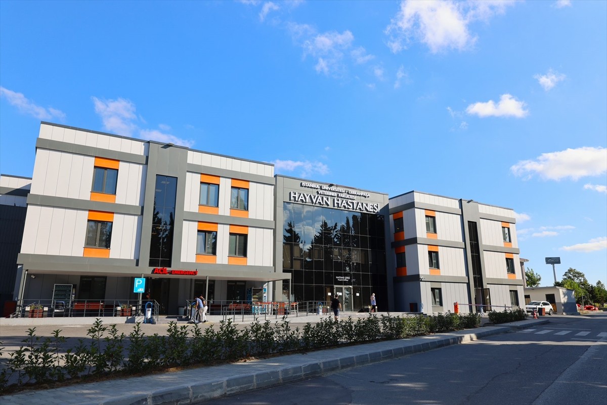 İstanbul Üniversitesi-Cerrahpaşa (İÜC) Veteriner Fakültesi Hayvan Hastanesi, yenileme...