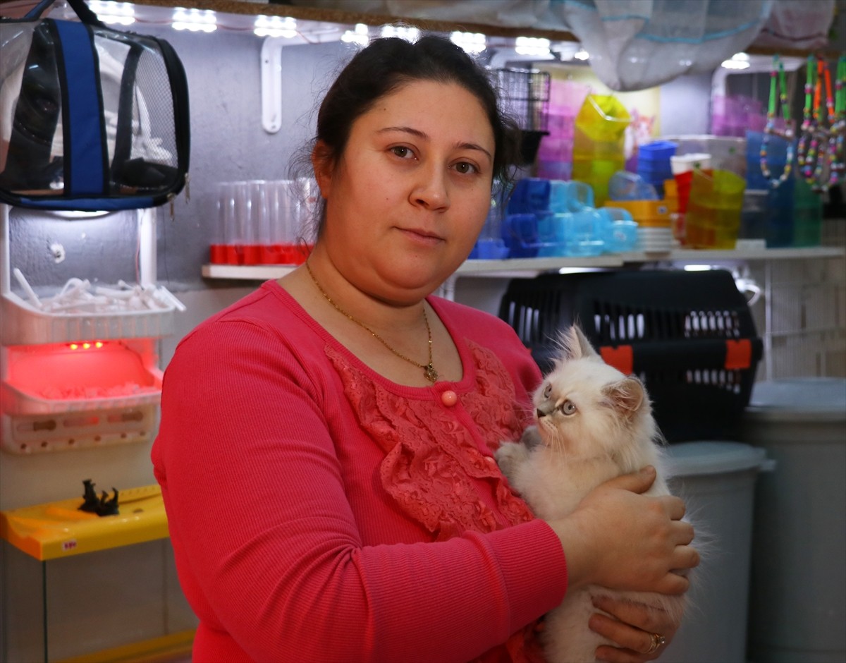 İzmir'in Bornova ilçesinde petshoptan çalınan kedi, olayın görüntülerinin sosyal medyada...