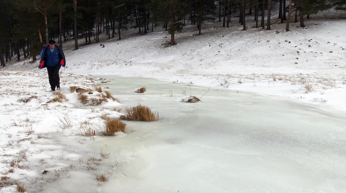 Kars'ın Sarıkamış ilçesinde dondurucu soğukların etkisiyle dereler ve göletler buz tuttu.  Soğuk...