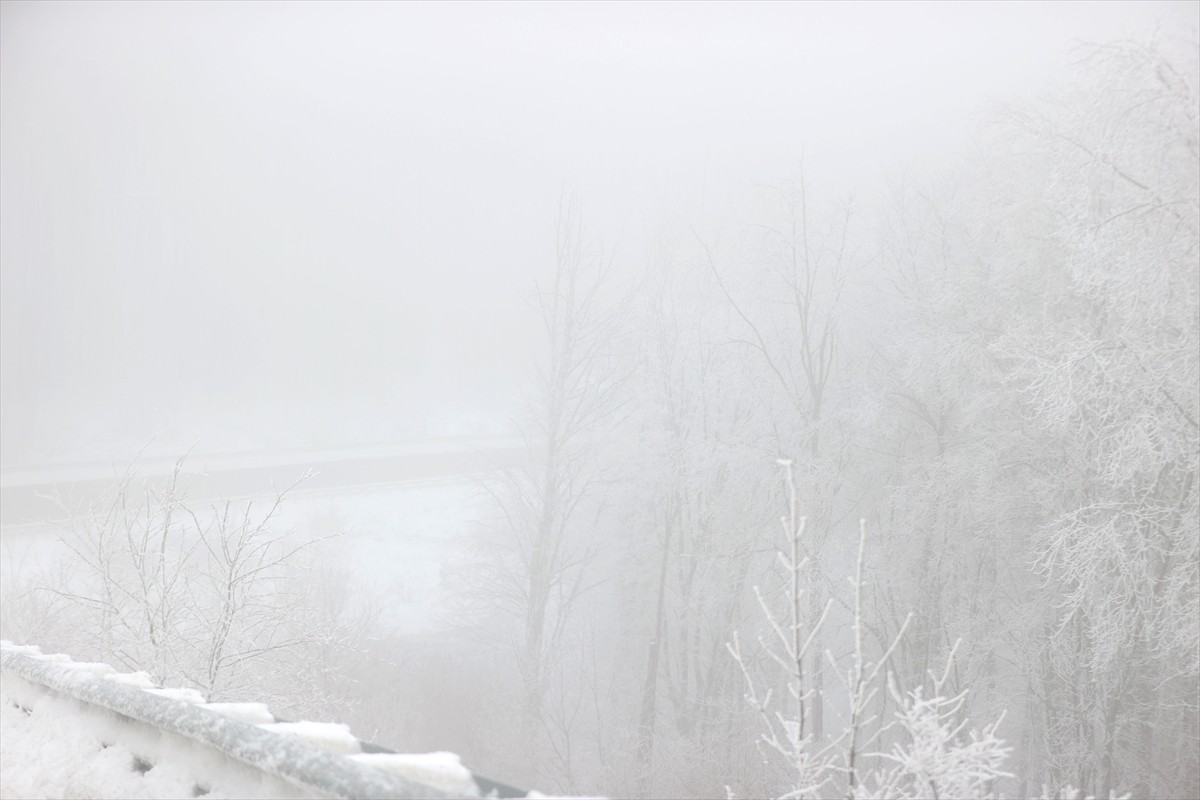 Kırklareli'nin Demirköy ilçesinde yoğun sis hayatı olumsuz etkiledi. İlçede sis nedeniyle görüş...