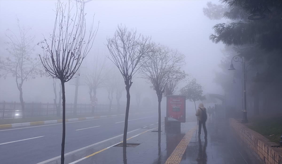 Mardin'de etkili olan yoğun sis yaşamı olumsuz etkiledi. Kentte sabahın ilk ışıklarıyla etkili...