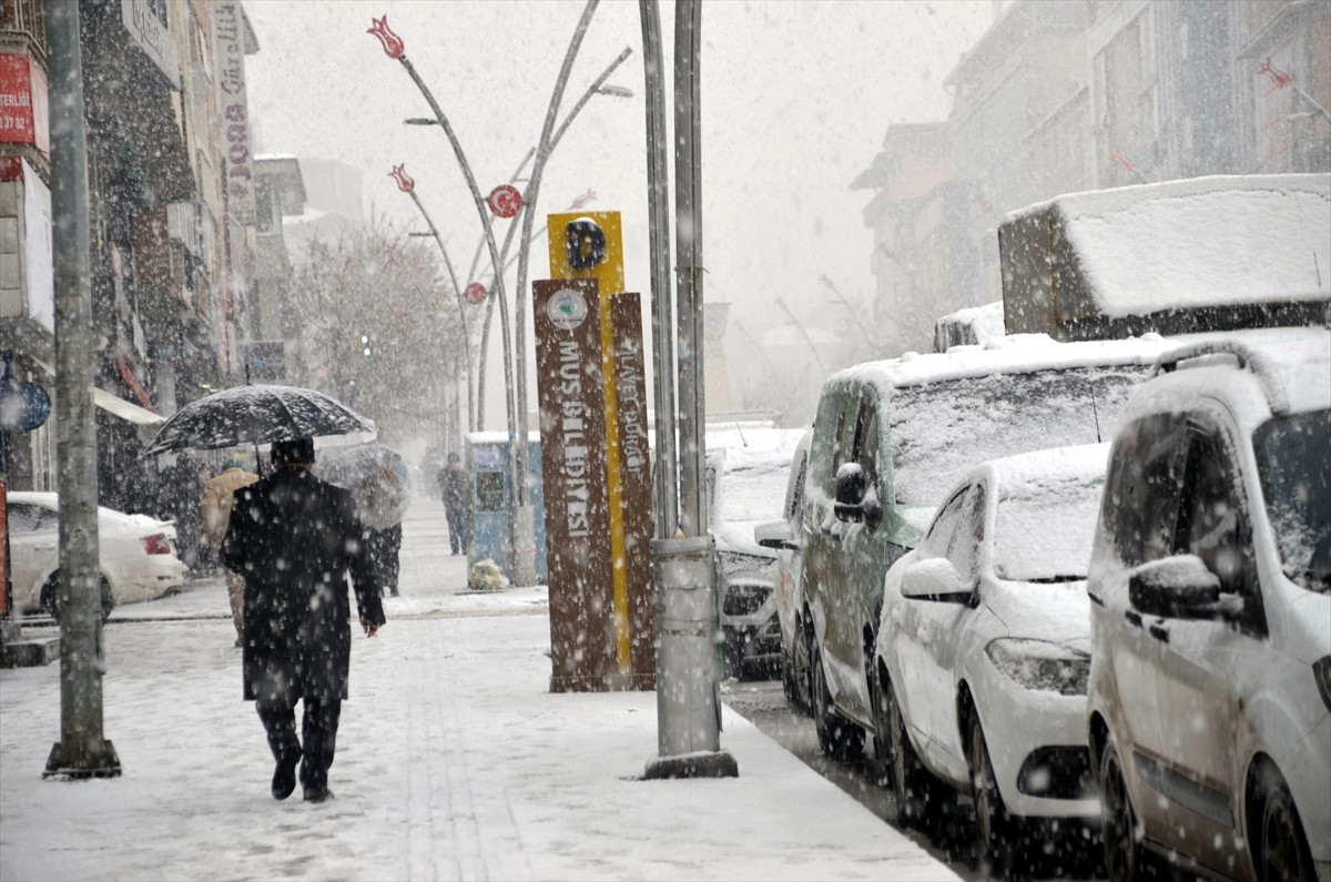 Muş'ta etkili olan kar yağışı sonrası kent merkezi beyaza büründü.