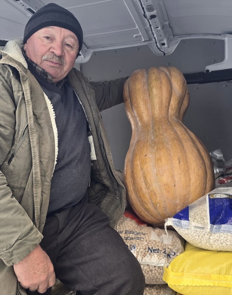 Sinop'un Durağan ilçesinde yetiştirilen 55 kilogramlık bal kabağı pazarda satışa sunuldu. 