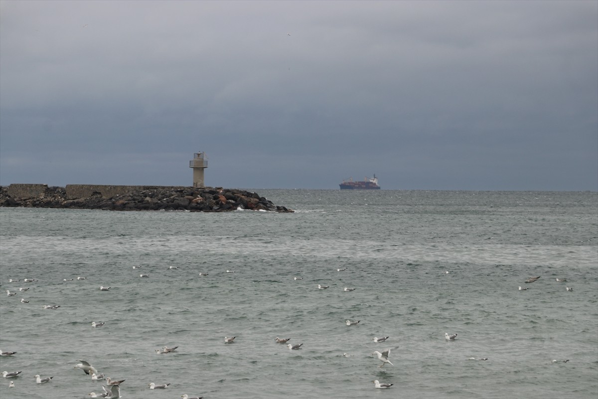 Tekirdağ'da poyraz, deniz ulaşımını olumsuz etkiledi. Şiddetli rüzgar sebebiyle balıkçılar denize...