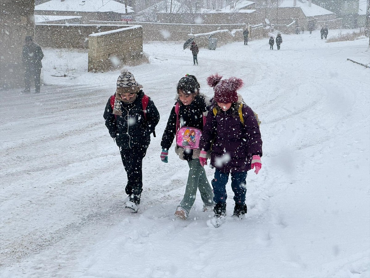 Van'ın Başkale ilçesinde sabah erken saatlerde başlayan kar, yaşamı olumsuz etkiledi.