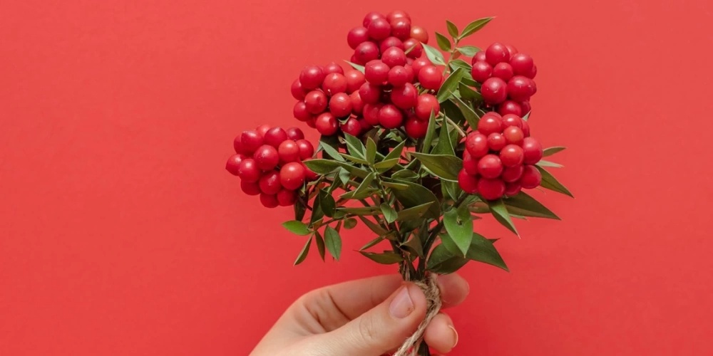 Yılbaşı Ritüelleri: 2025 İçin Para, Aşk ve Şans Getirin