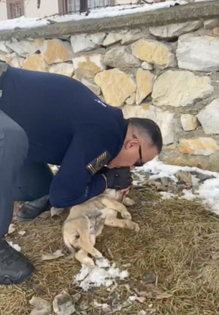 Yozgat'ta Çayıralan İlçe Jandarma Komutanı Astsubay Kıdemli Başçavuş Haluk Aktan, soğuktan donmak...