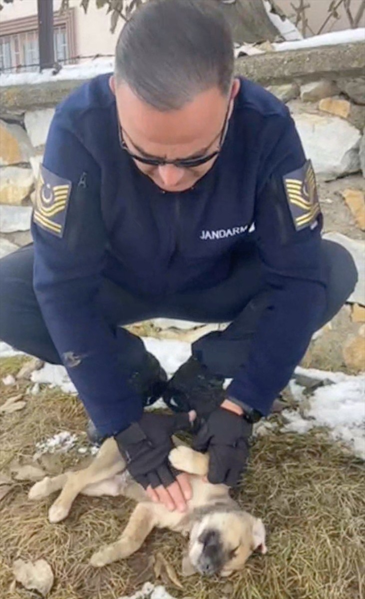 Yozgat'ta Çayıralan İlçe Jandarma Komutanı Astsubay Kıdemli Başçavuş Haluk Aktan, soğuktan donmak...