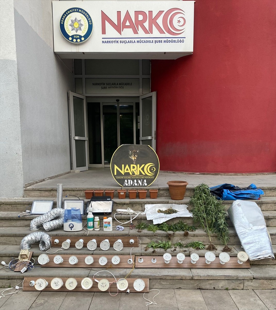 Adana'da iklimlendirme sistemiyle evinde Hint keneviri yetiştiren şüpheli tutuklandı. Adreste, 17...