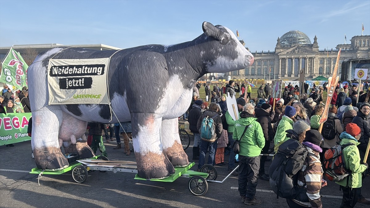 Almanya'nın başkenti Berlin'de toplanan çiftçiler, hükümetin tarım politikalarını protesto etti....