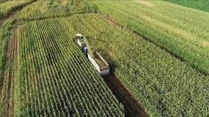 Bakanlıktan tam sürat destek! Yeni destek müjdelerinin ardı arkası kesilmedi