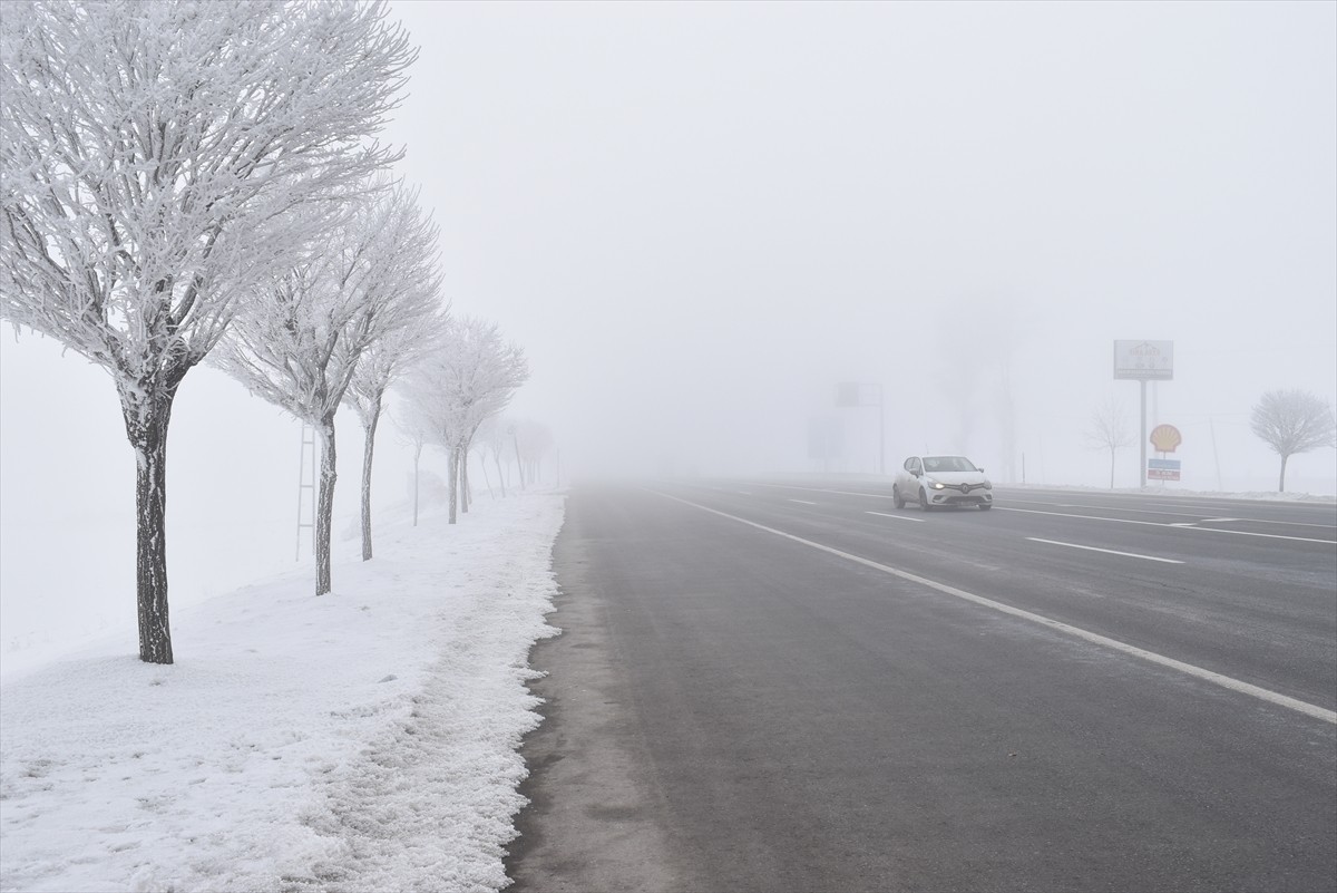 Bitlis'te sis etkili oldu, soğuk hava nedeniyle ağaçlarda kırağı oluştu.