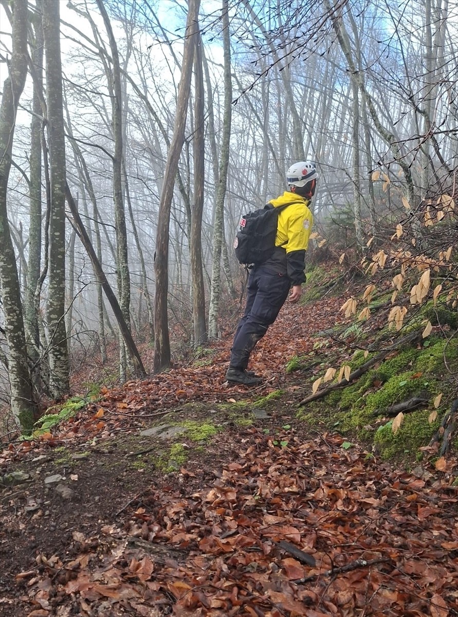 Bursa'nın Osmangazi ilçesinde kaybolduğu bildirilen zihinsel engelli kişiyi arama çalışmaları...